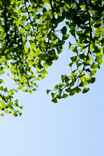 직장인 힐링 여행 사진