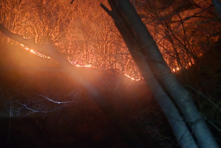 경남 함양 산불 진화율