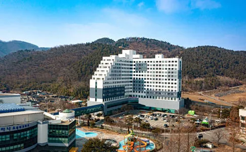 금호화순리조트