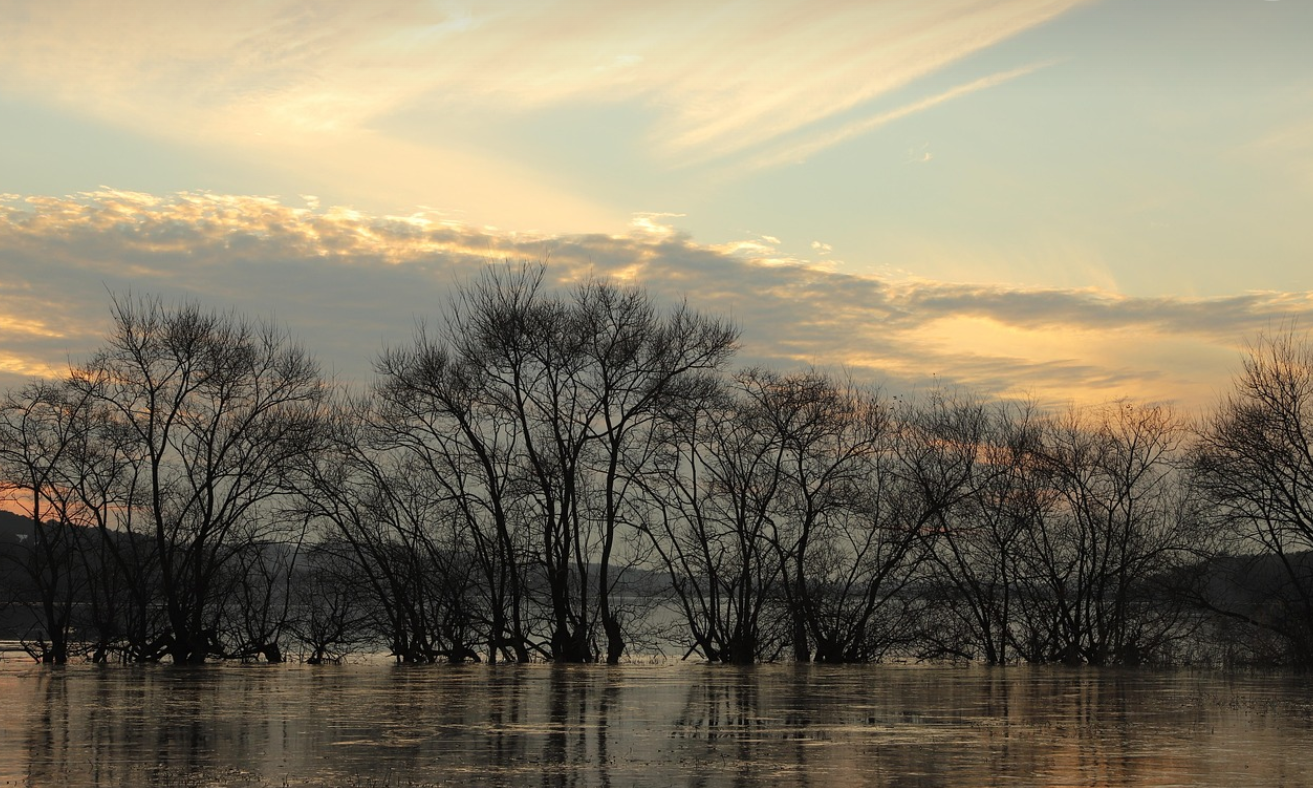 탑정호 둘레길 걷기