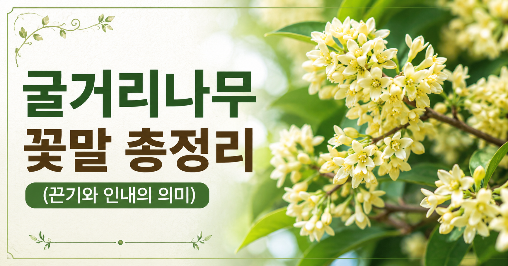 굴거리나무 꽃말