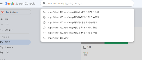 url-검사-수동색인