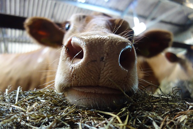 아침마다 코가 막히는 진짜 이유는? 놓치기 쉬운 원인과 해결법 총정리