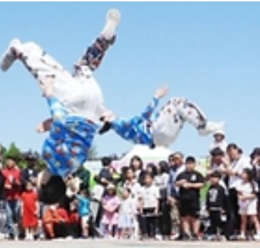 2025 함평나비대축제 완벽 가이드