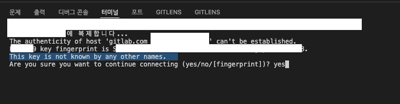 GitLab 프로젝트 clone 도중 발생한 SSH 연결 오류 메시지 화면