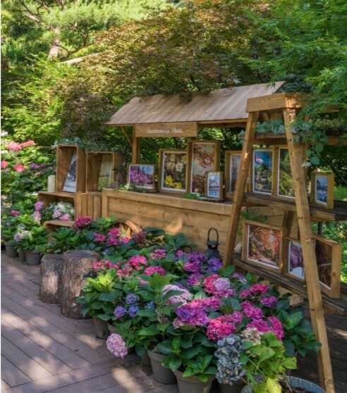 2025 화담숲 봄 수선화 축제