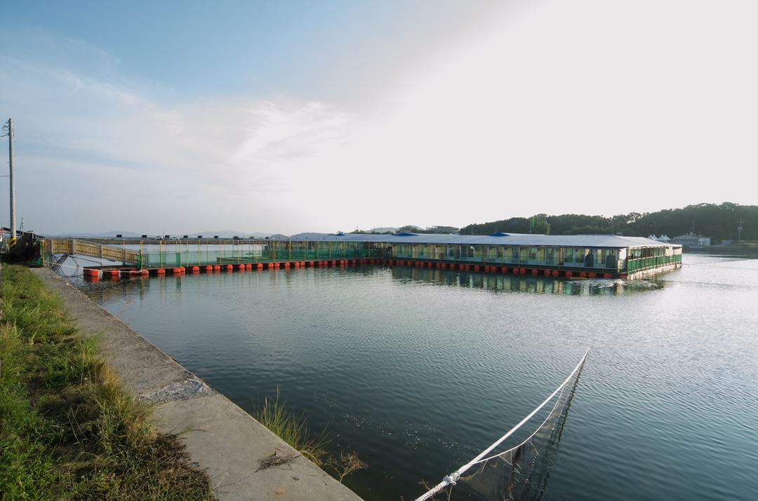 경기도 유료낚시터, 경기도 저수지 낚시, 경기도 유료낚시, 경기도 낚시할만 한 곳