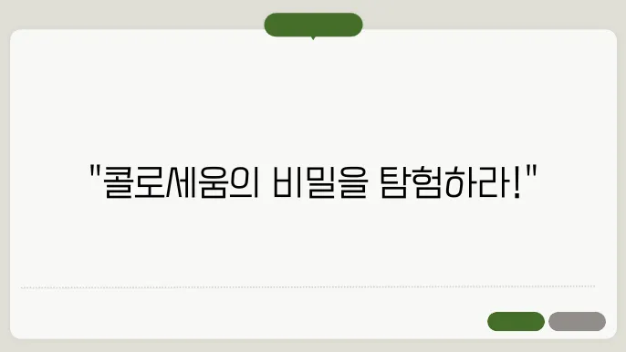 콜로세움 관람석