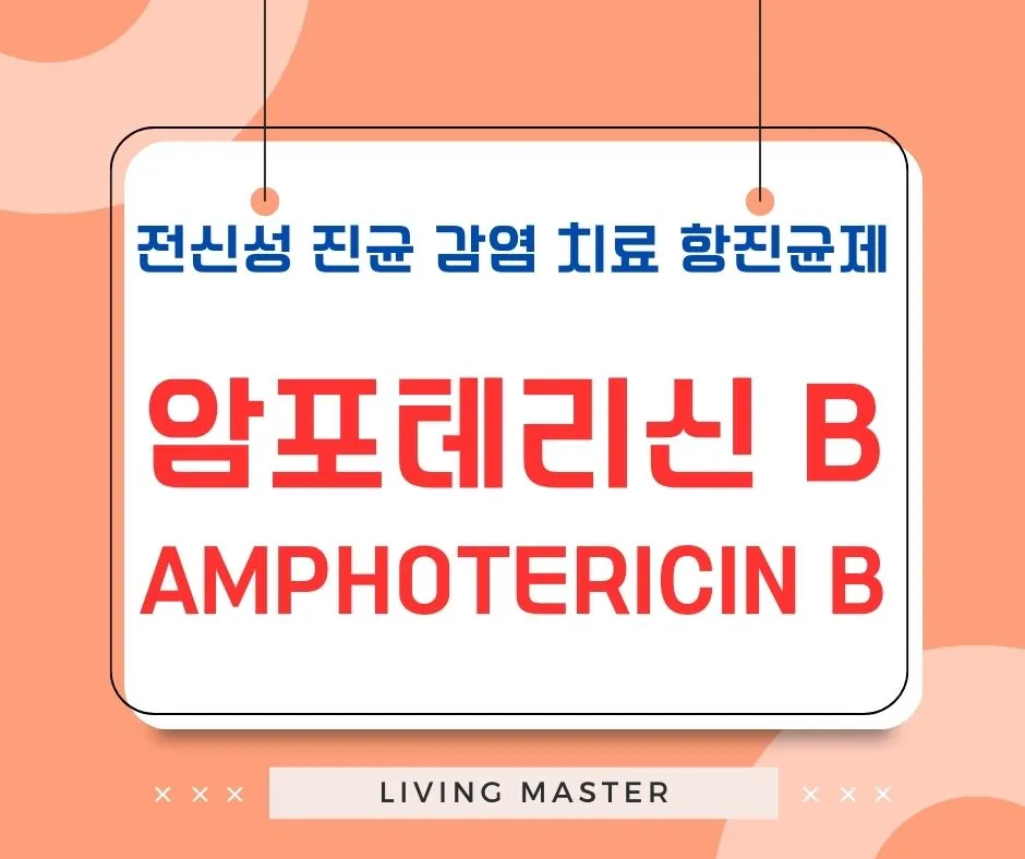 암포테리신 B(Amphotericin B)란 무엇인가?