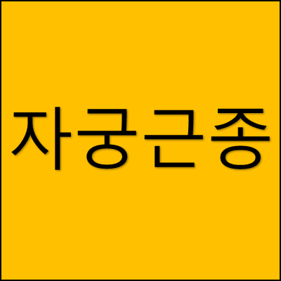 자궁근종 썸네일