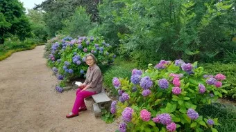 천리포 수목원 목련축제 입장료 여행코스_26