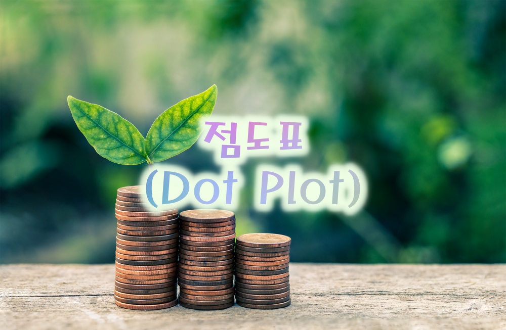 점도표(Dot Plot)