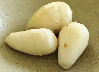 토란 심는시기 재배법 파종시기_5