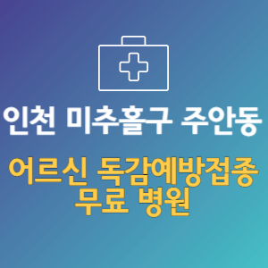 인천 미추홀구 주안동 노인 독감예방접종 무료 병원 (인플루엔자 무료 접종 대상 날짜)