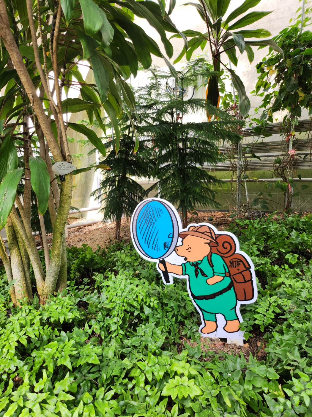 식물과 푸 판넬