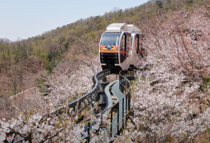 화담숲 모노레일