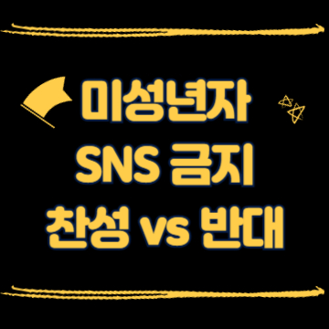 미성년자 SNS 금지 찬성 vs 반대