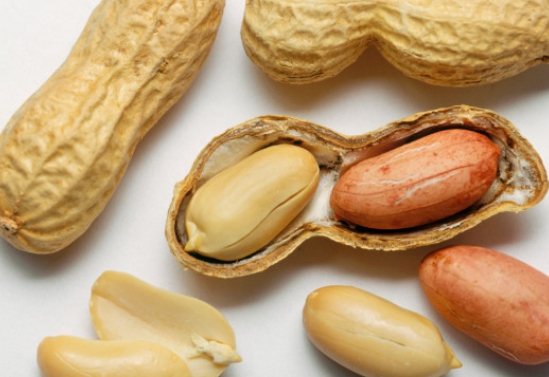 땅콩