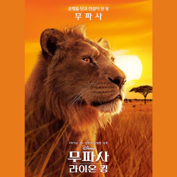 무파사: 라이온 킹 리뷰 관련 사진