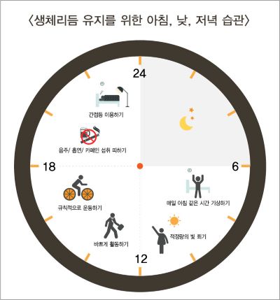 생체리듬을 유지하기 위한 생활습관