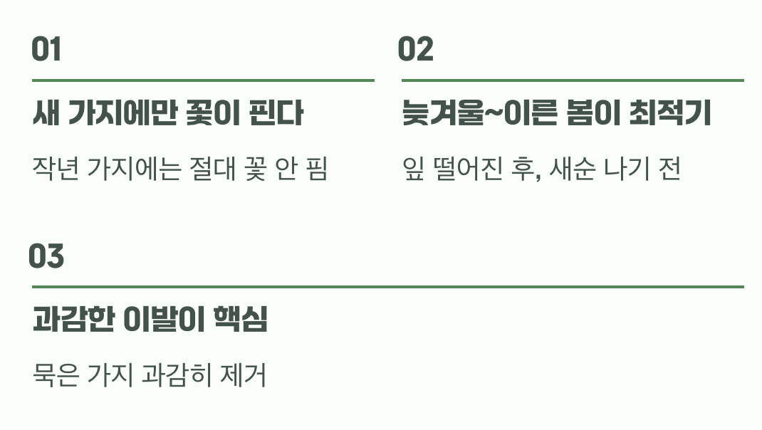 꽃을 보기 위한 필수 조건, '가지치기'