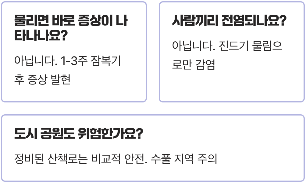 가을철 등산, 성묘 갈 때 필독! 쯔쯔가무시 진드기 완벽 차단하는 예방수칙