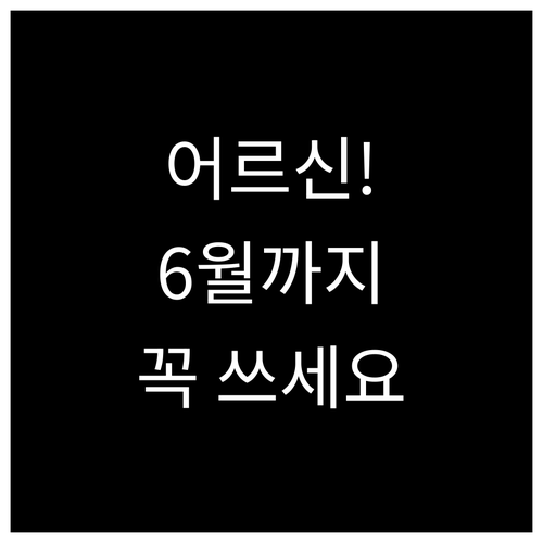 2026년 어르신 스포츠 상품권 6월..