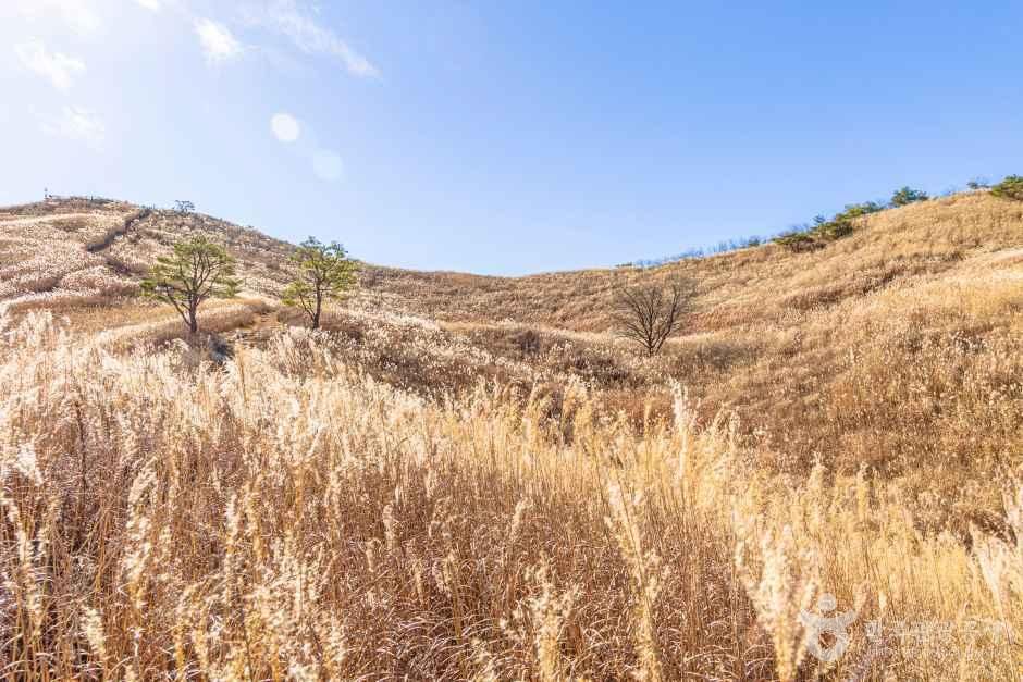 민둥산 억새축제 시기 억새 사이 능선 등산로