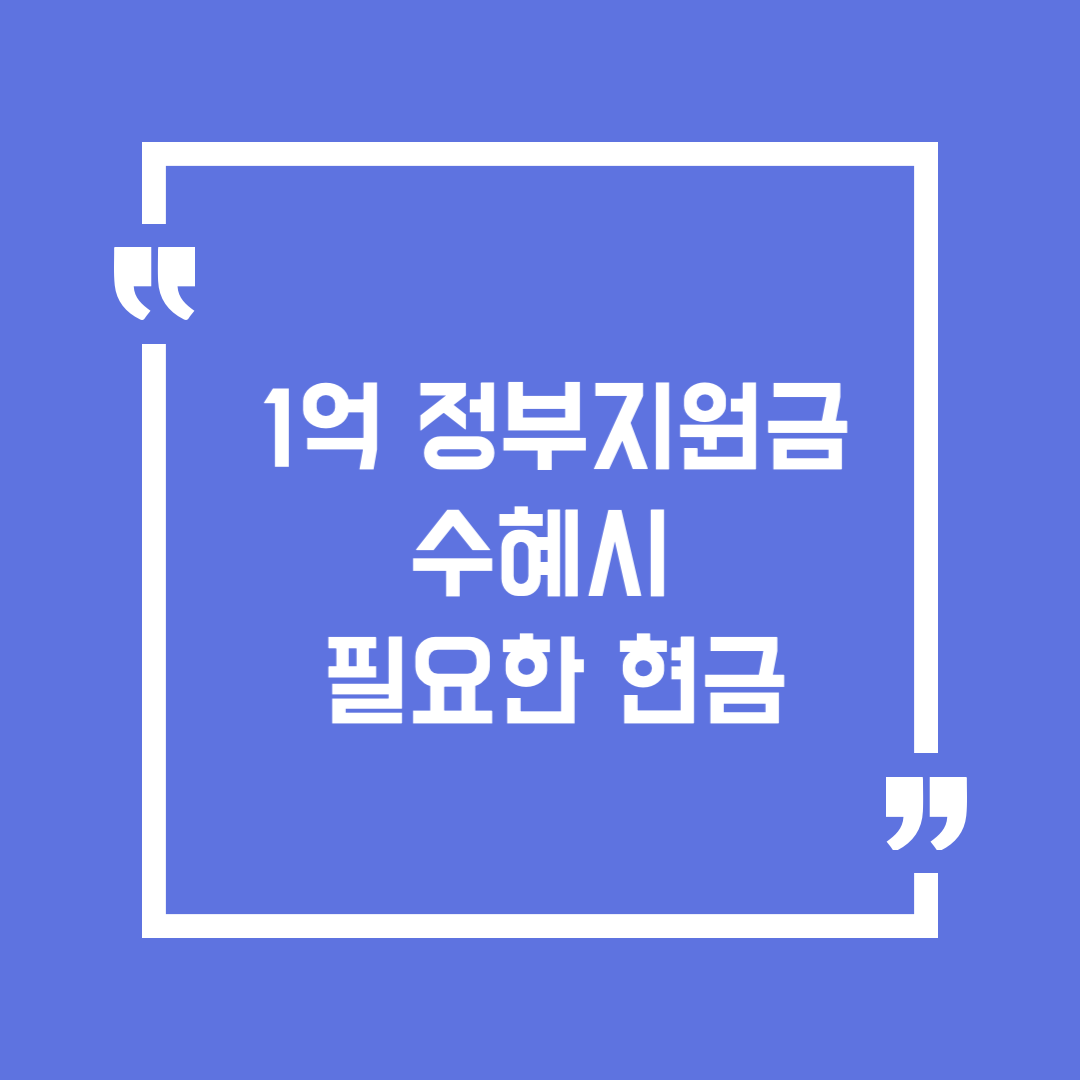 1억 정부지원금 수혜시 필요현금