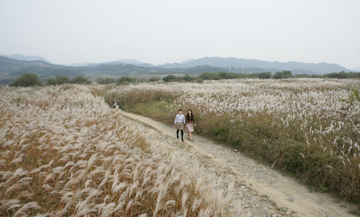 충주 가볼만한 곳