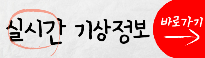 실시간 기상정보