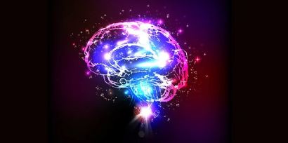 사람의 기억을 연구하는 직업: 기억 과학자