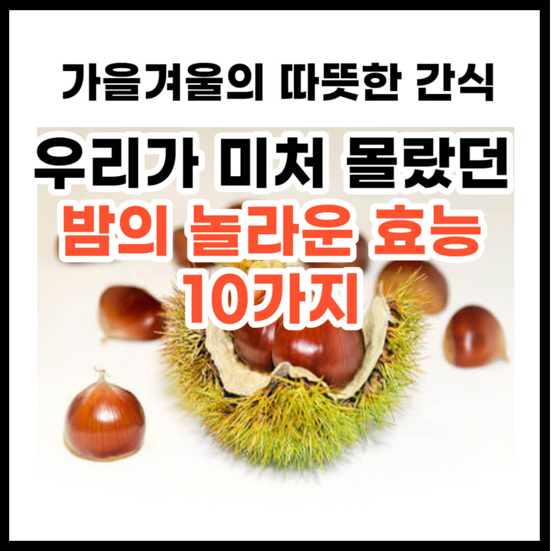 밤 효능 우리가 몰랐던 의외의 밤 효능
