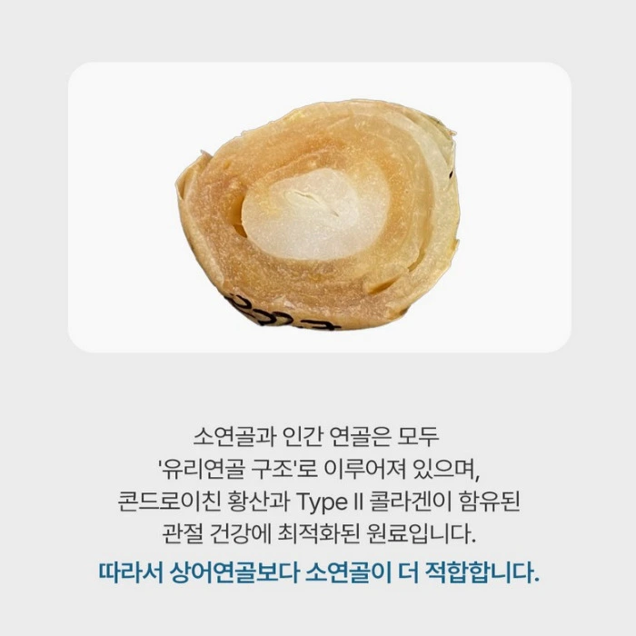 셀로비스 콘드로이친 내돈내산 후기 부작용 성분 효능 가격 복용법