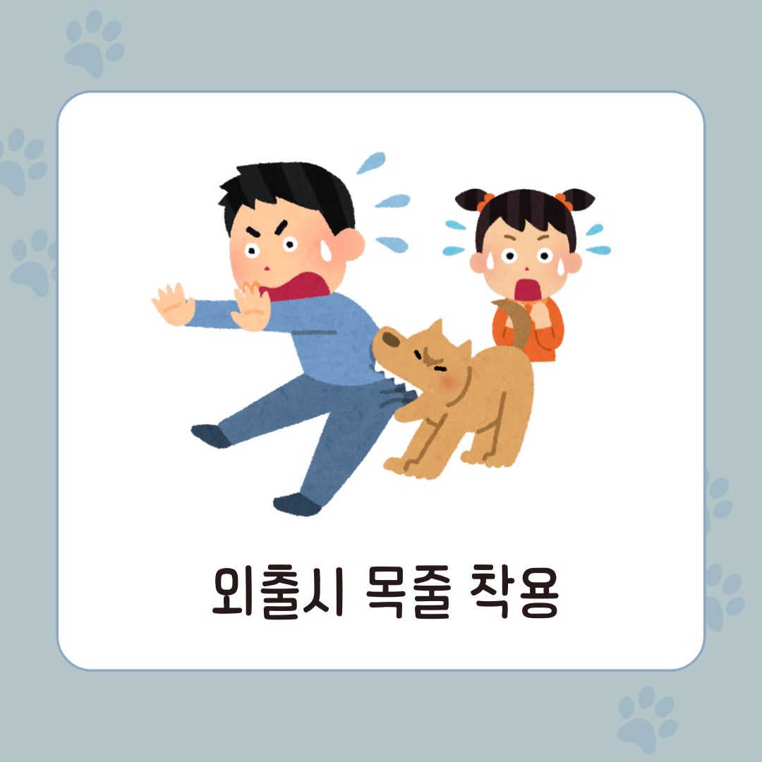 반려동물과/여행하기/대중교통별/이용방법 