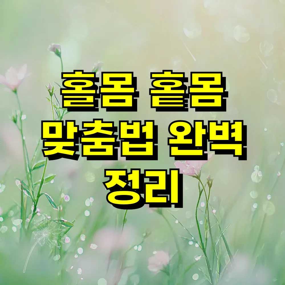 홀몸 홑몸 맞춤법 완벽 정리