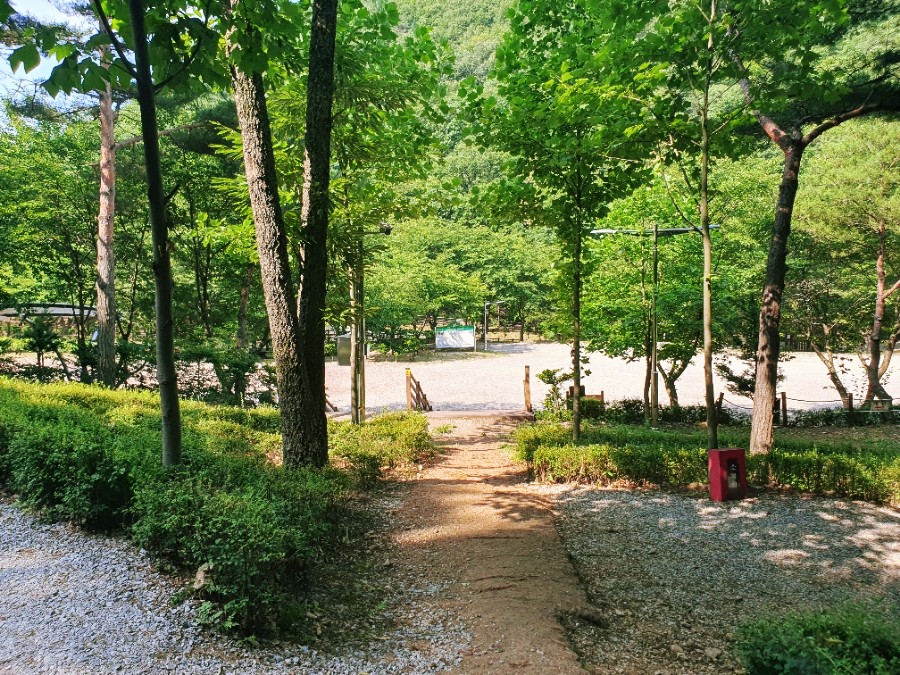 용현자연휴양림