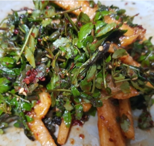 초피나무(제피나무)와 산초나무 구별법 제피잎무침 레시피 제피효능