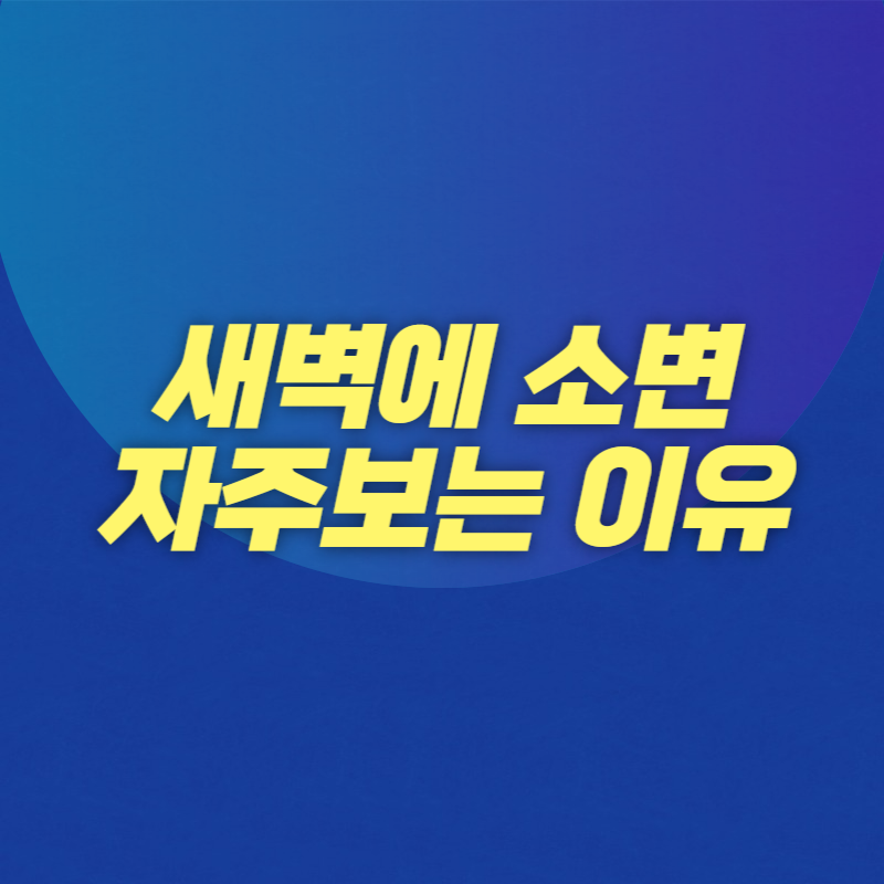 새벽에 소변 자주보는 이유