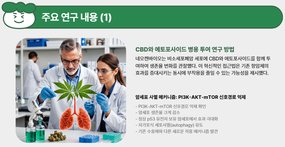 주요 연구 내용