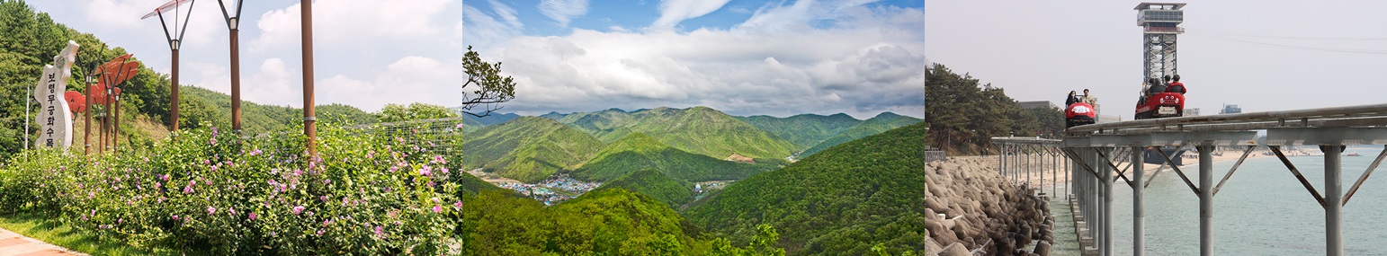 출처 : 보령시 홈페이지