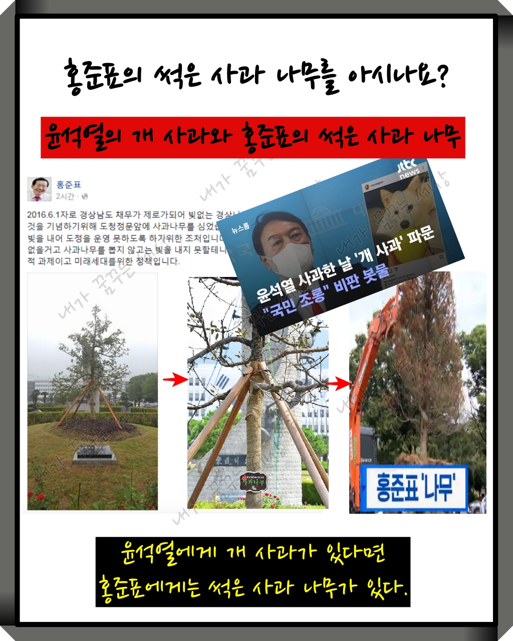 홍준표의 사과 나무를 아시나요?