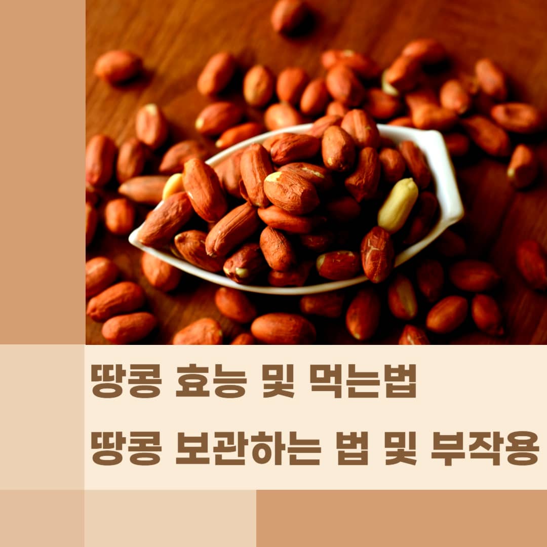 땅콩 효능, 땅콩 먹는 법, 땅콩 보관하는 법, 땅콩 부작용