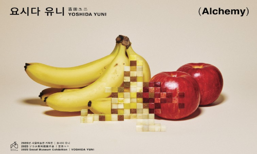 요시다유니작품