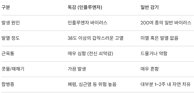 독감 증상