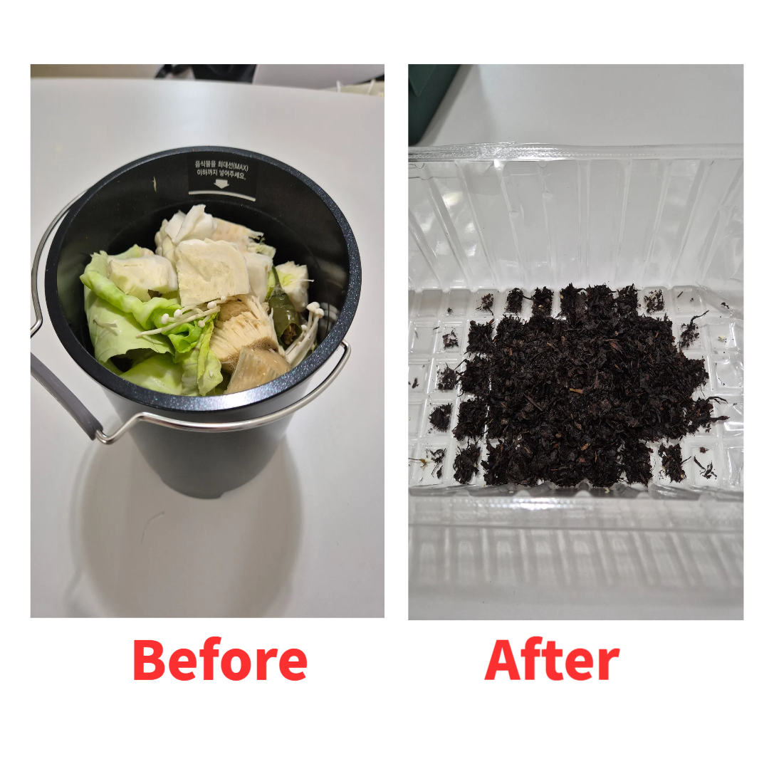 비포애프터 비교