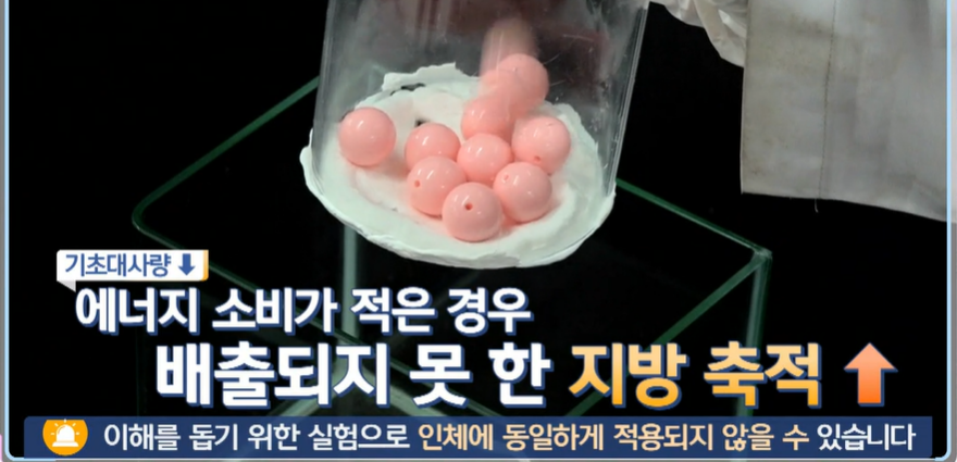 모로실 효능