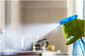 하이라이트 청소법