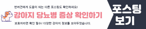 강아지 당뇨병
