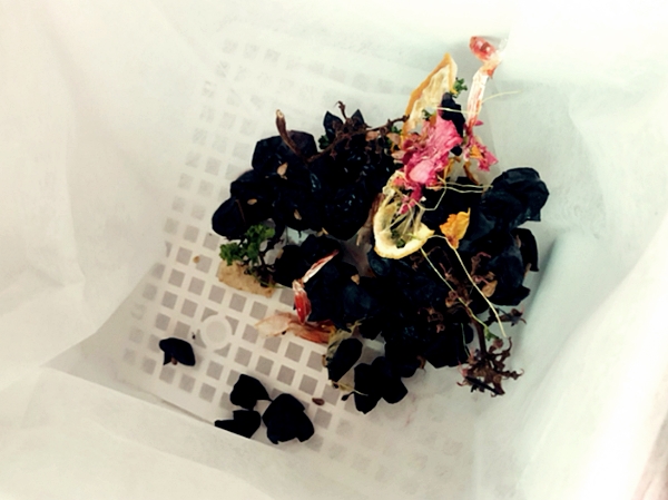 루펜 음식물 건조 사진